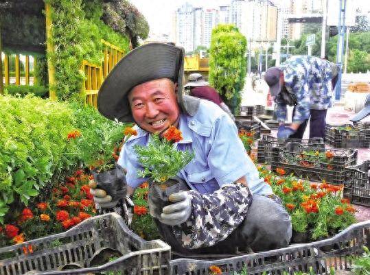 博大策略 景观花卉扮靓港城