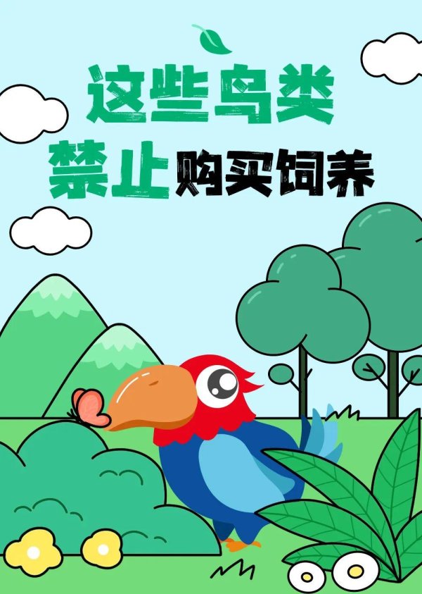 交易鑫优配 一图读懂! 这些鸟儿禁止私养